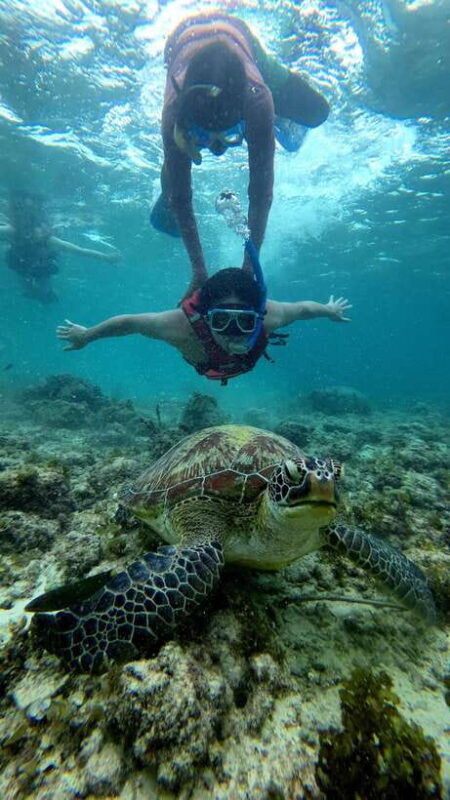 cebu-adventure-atv-mantayupan-falls-moalboal-snorkeling