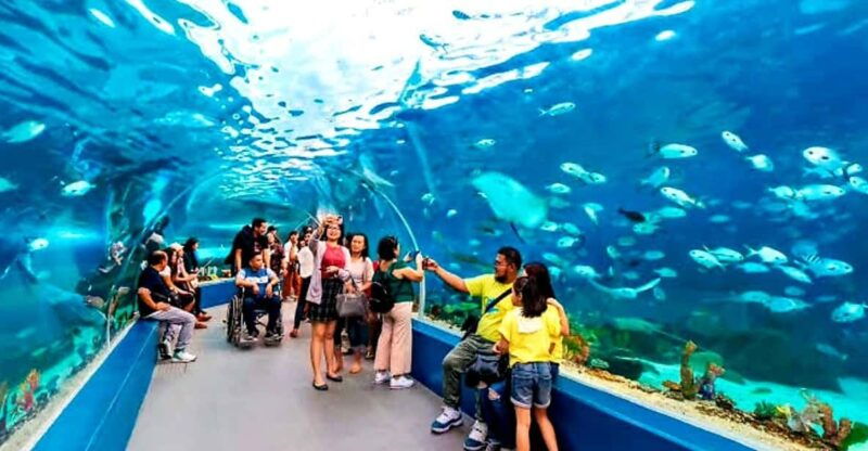 cebu-go-karting-ocean-park-history-tour-with-lunch