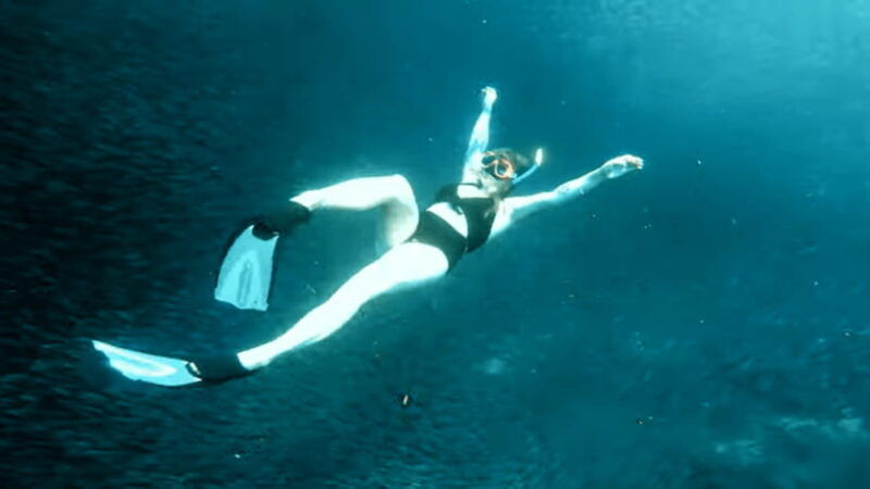 cebu-island-hopping-pescadorsardine-run-andturtle-paradise