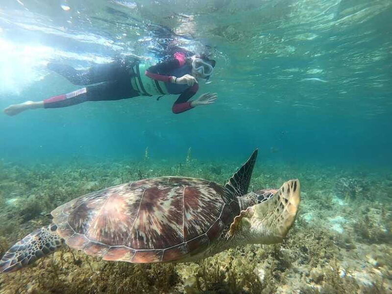 cebu-moalboal-sardine-run-snorkeling-kawasan-canyon-tour
