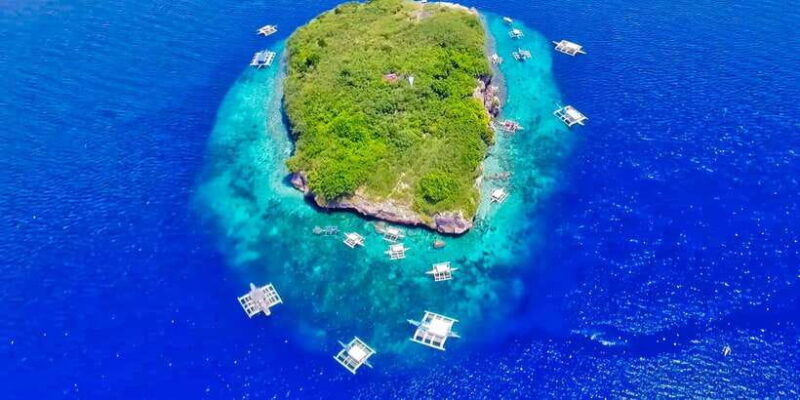 cebu-moalboal-sardines-and-turtles-snorkeling-tour