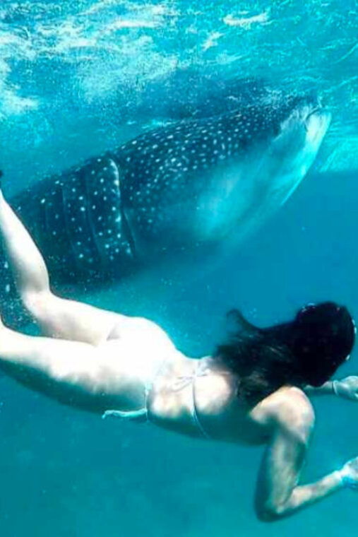 cebu-oslob-whale-shark-sumilon-ruins-simala-church