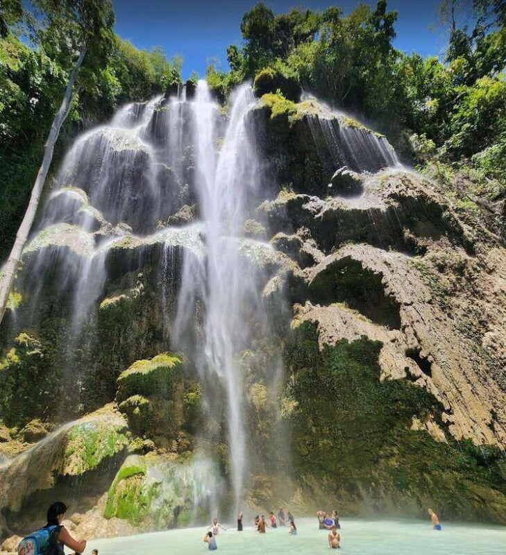 cebu-whale-shark-mysterious-waterfall-private-tour