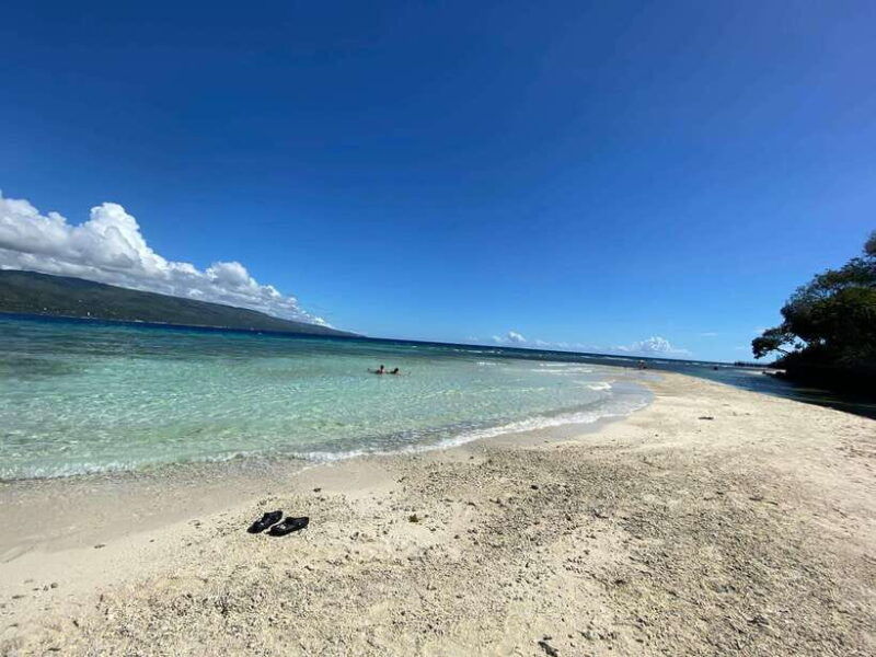 cebu-whalesharks-sumilon-sandbar-tumalog-falls-tour