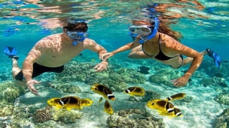 cham-island-on-a-speedboat-snorkeling-tour-from-da-nang