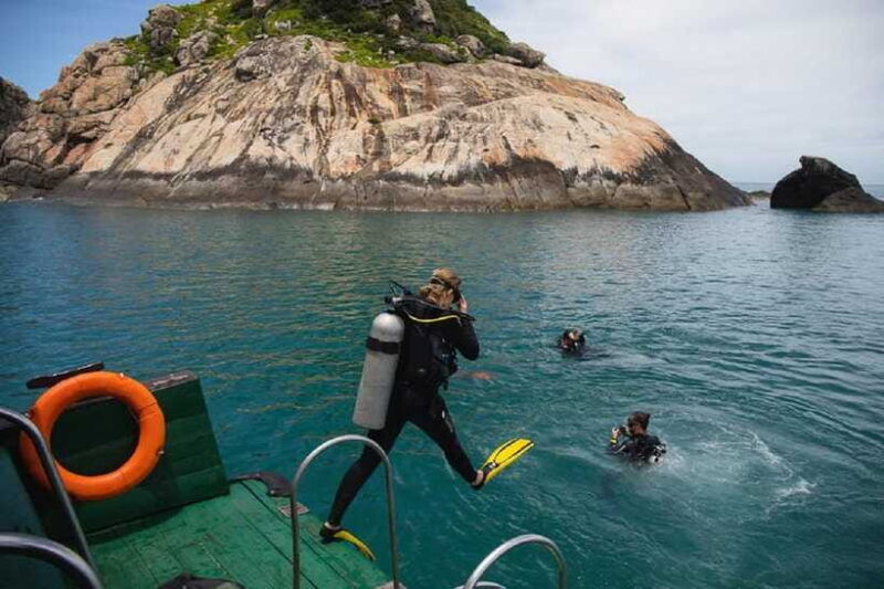 cham-islands-snorkeling-tour-by-speedboat-hoi-an-da-nang-2