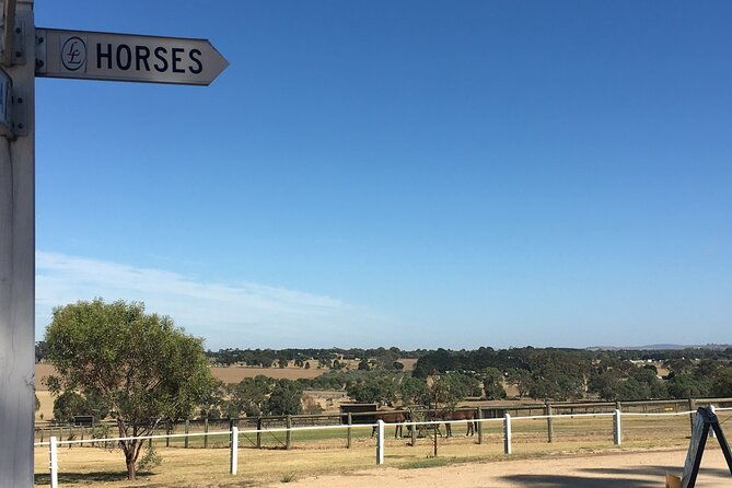 Champion Racehorse Tour with Beer and Wine Tasting - FAQs