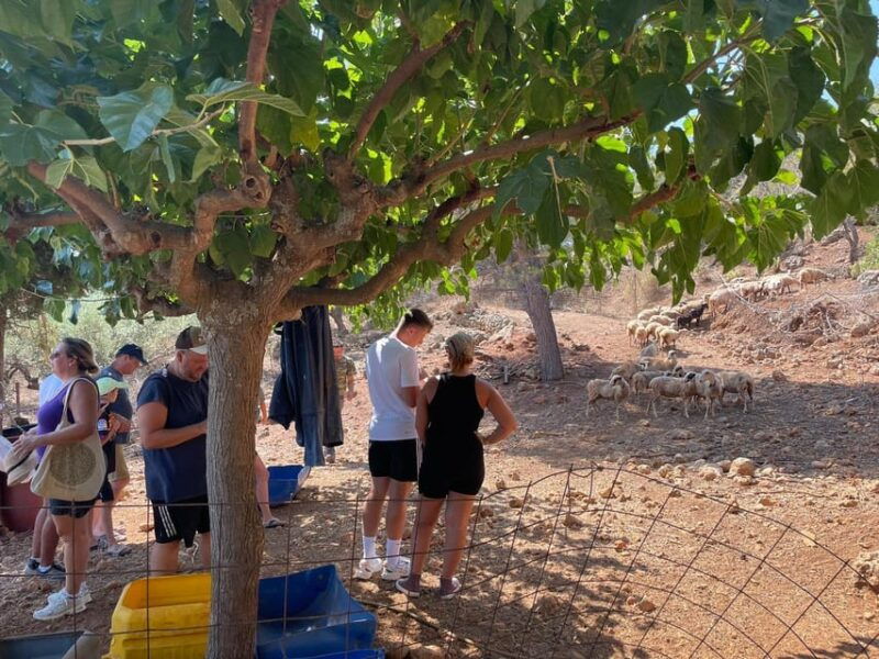 chania-area-cooking-class-at-a-farm-in-stylos-village