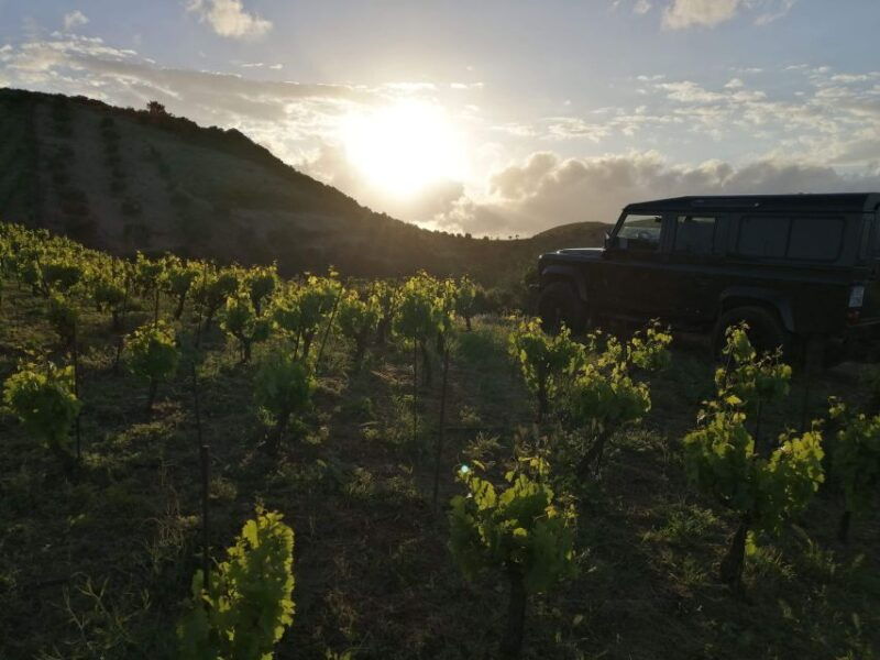 chania-premium-sunset-safari-tour