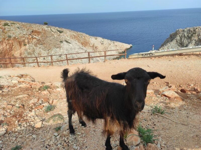 chania-villages-private-tour-explore-the-authentic-crete