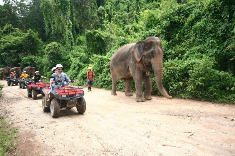 chiang-mai-atv-tour