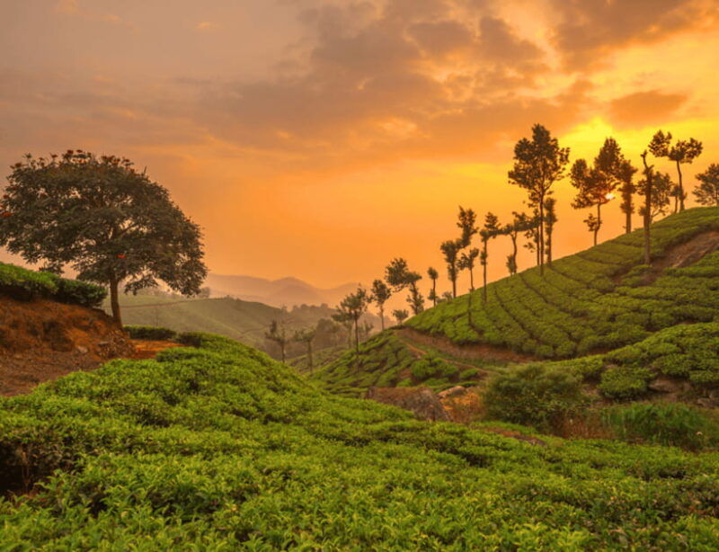 chiang-mai-chiang-rai-highlights-scenic-landscapes-tour