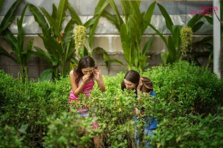 chiang-mai-cooking-class-with-organic-farm-at-mama-noi