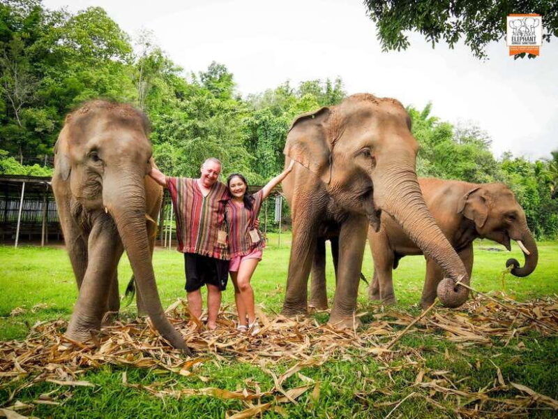 chiang-mai-elephant-jungle-sanctuary-mama-noi-cooking-class