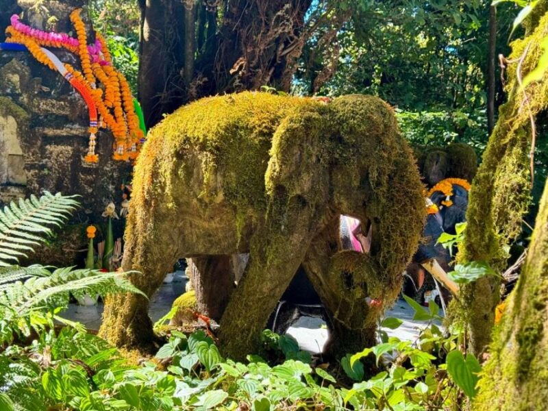 chiang-mai-elephant-recovery-center-doi-inthanon-and-hiking