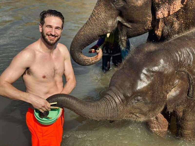 chiang-mai-elephant-sanctuary-feeding-program-half-day-tour