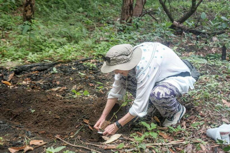 chiangmai-hilltribe-coffee-forest-trek-plant-roast-brew