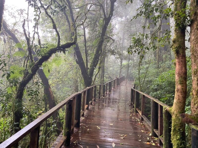 chiangmai-overnight-with-doi-inthanon-national-park-tour