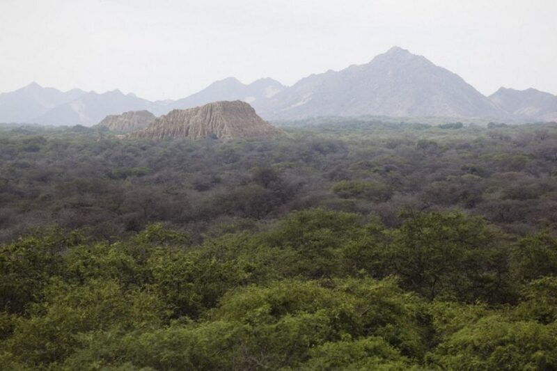 chiclayo-pomac-forest-historic-sanctuary-sican-museum