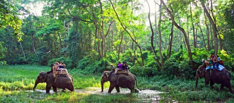 chitwan-day-tour-canoeingjungle-walk-jeep-safari-2