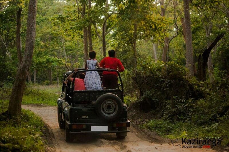 chitwan-jungle-safari-2-nights-3-days-from-kathmandu