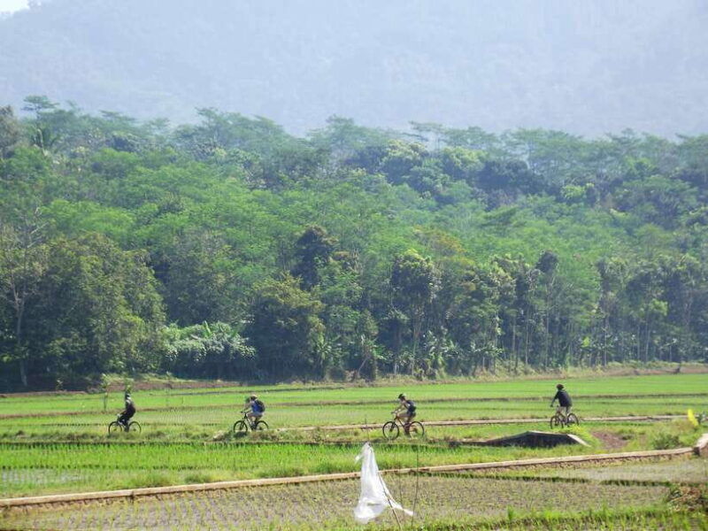 cianjur-downhill-and-countryside-cianjur-cycling-tour