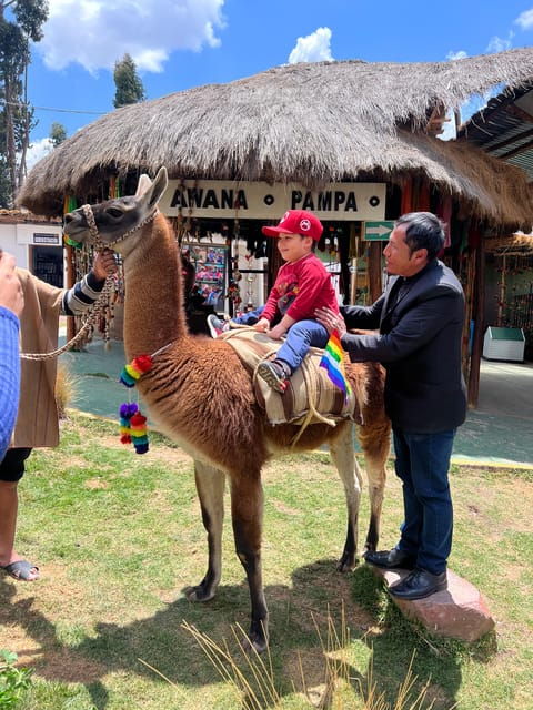 city-tour-cusco-camelids-tour-pachamanca