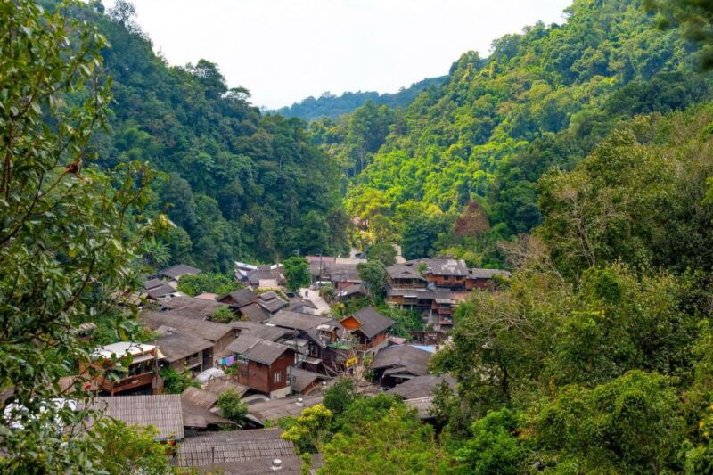 cnx-trekking-villager-living-in-forest-tea-coffee-farm