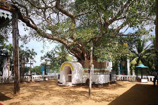 Coastal Ride to Galle from Colombo Seaport - Conservation at the Sea Turtle Farm