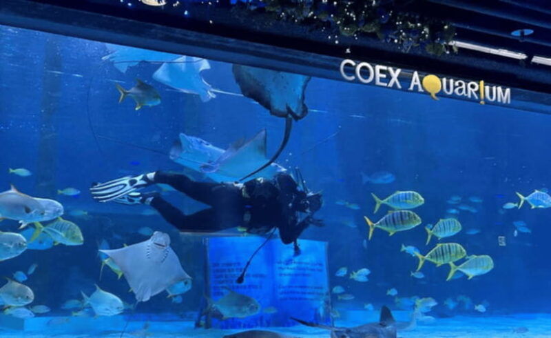coex-aquarium-entry-ticket