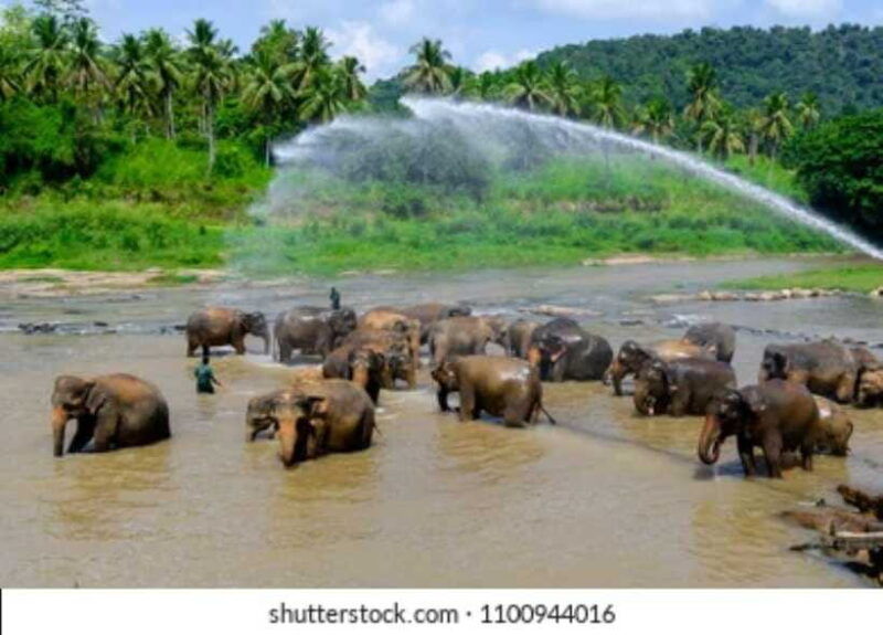 colombo-kandy-and-pinnawala-full-day-trip