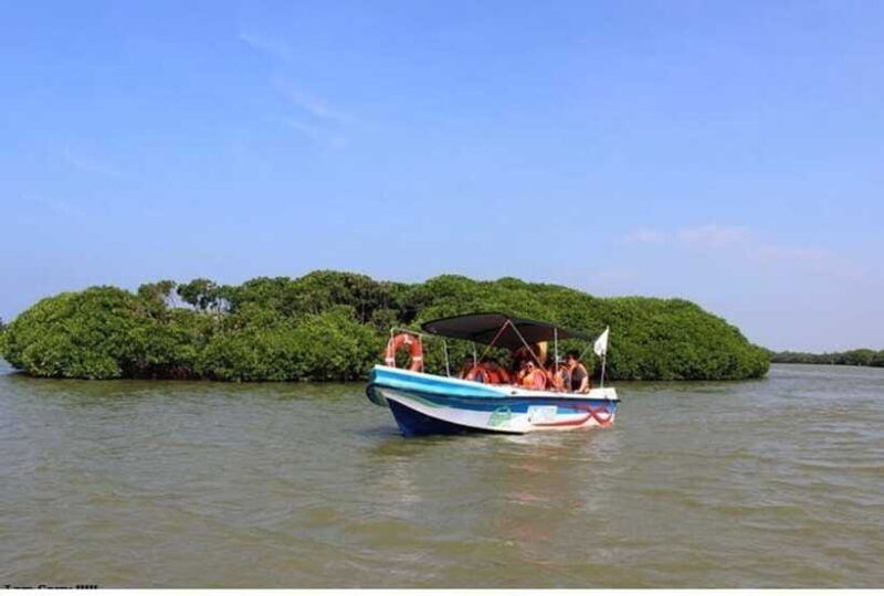 colombo-negombo-muthurajawela-dutch-canal-boat-adventure