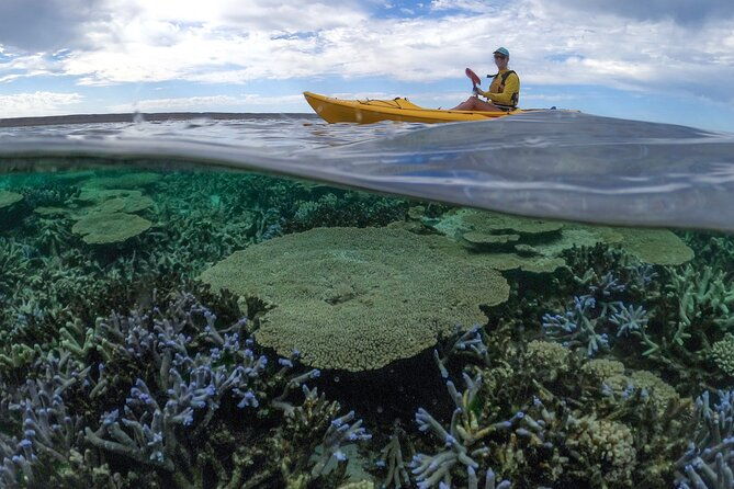 Coral By Kayak - Ningaloo Reef Half Day Kayak & Snorkel Tour - Physical Considerations & Booking Tips