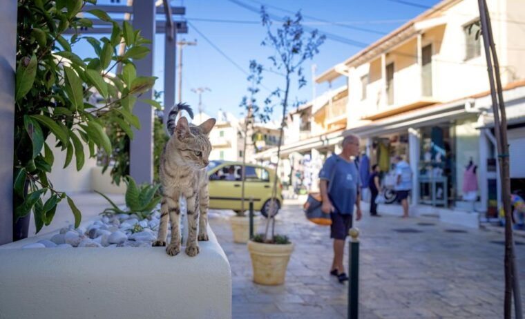 corfu-bus-trip-swim-at-canal-damour-kassiopi-barbati