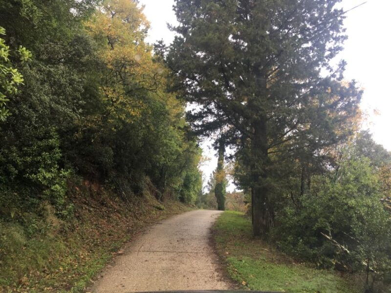 corfu-full-day-small-group-trip-with-lunch