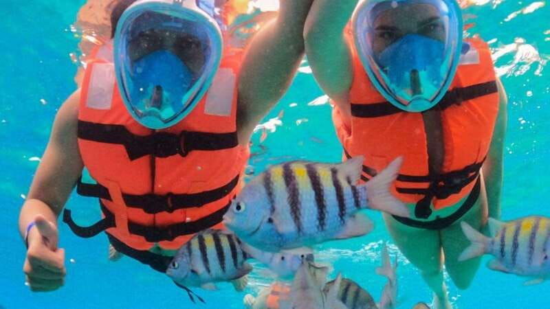 cozumel-transparent-boat-tour