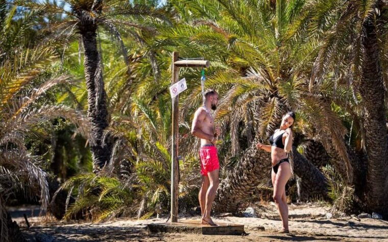 crete-and-heraklion-areas-direct-day-trip-vai-beach