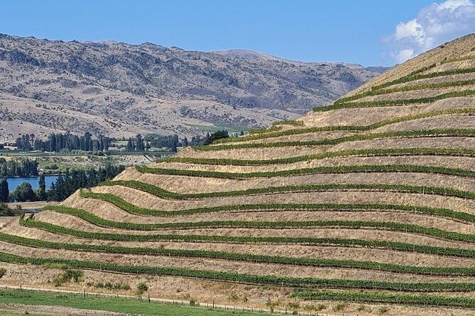Cromwell Wine Tasting Tour using Classic Car - Final Thoughts