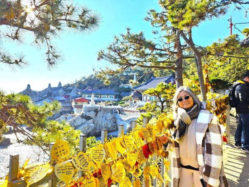 cruise-ship-guestsshared-tour-in-busan-for-up-to-6-people
