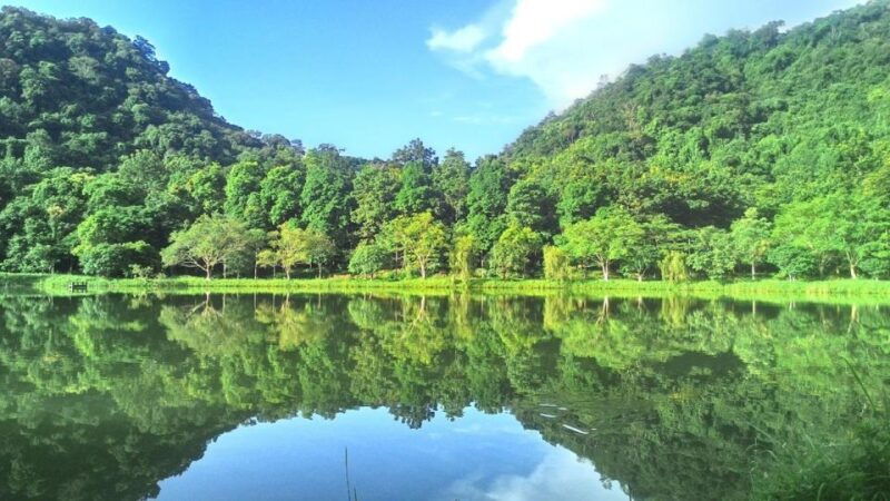 cuc-phuong-forest-the-forest-of-thousands-of-butterflies