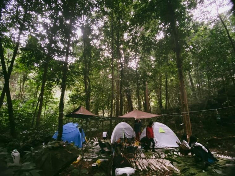 cuc-phuong-national-park-trek-camp-in-jungle-2-days