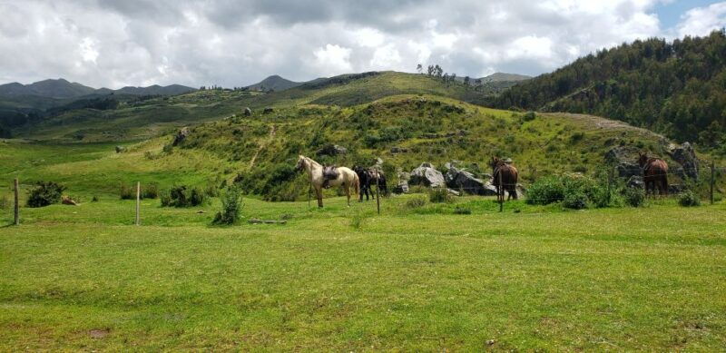 cusco-sacsayhuaman-guided-tour-and-1-hour-horseback-ride