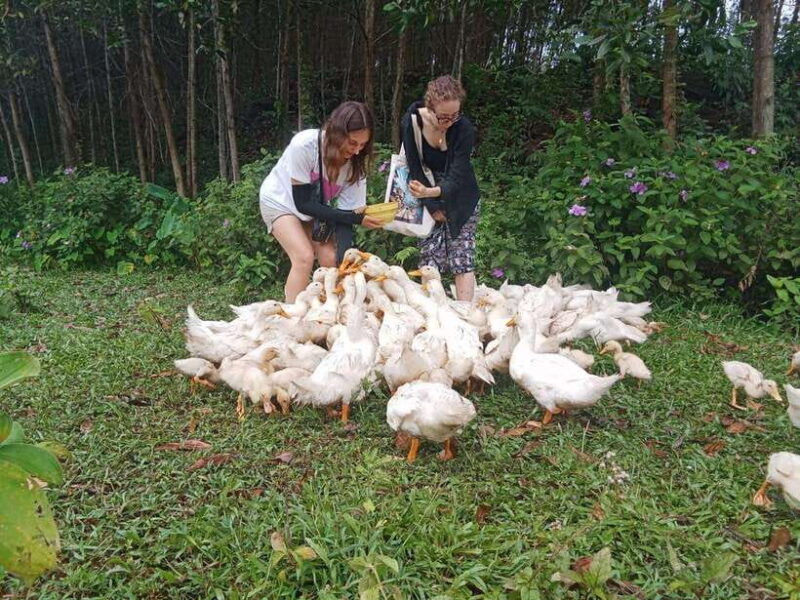 cycling-through-countryside-and-cooking-class-in-duck-stop