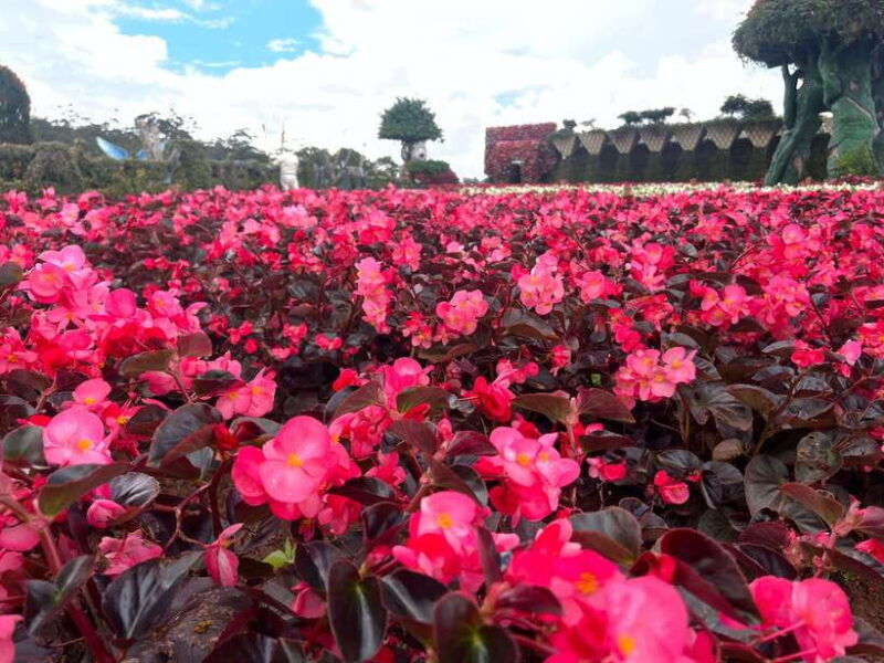 da-lat-city-full-day-tour-with-local-student-guide-by-car