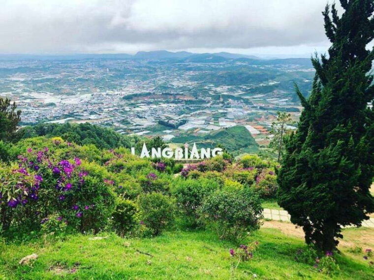 da-lat-day-tour-1-day-city-of-thousands-of-flowers