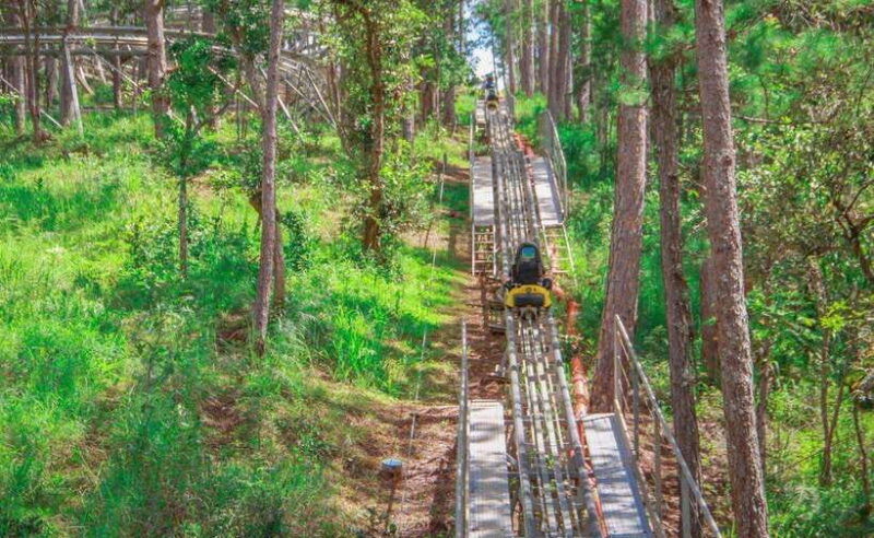da-lat-lang-biang-mountain-cable-car-and-waterfall-tour