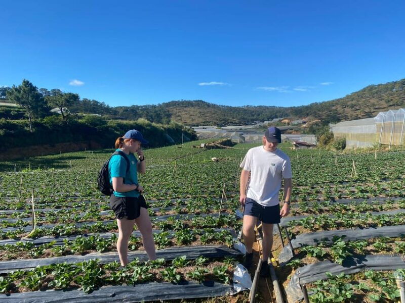 dalat-atv-drive-3-hours