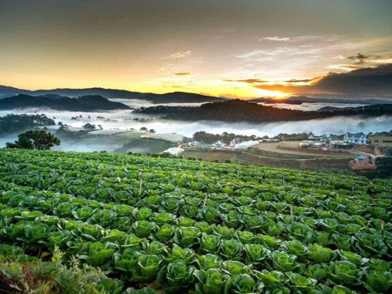 dalat-best-of-the-countryside-tour-in-a-private-car