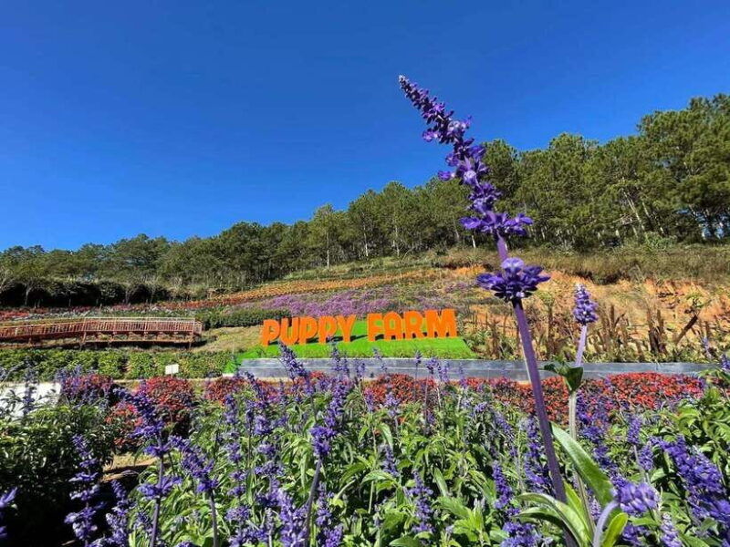dalat-check-in-at-the-most-famous-tourist-attractions