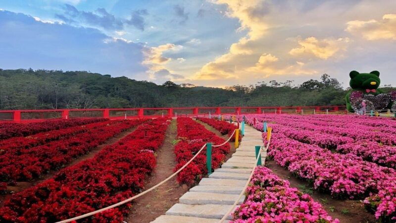 dalat-countryside-tour-2